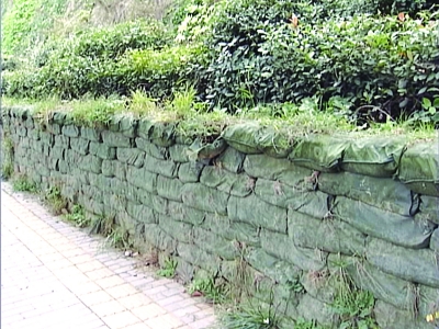 Img325325172.jpg